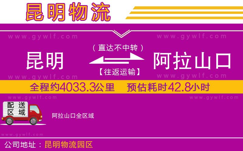 昆明到阿拉山口物流公司