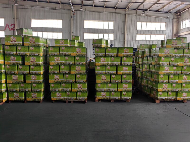 臨沂到瓊結(jié)物流專(zhuān)線(xiàn)