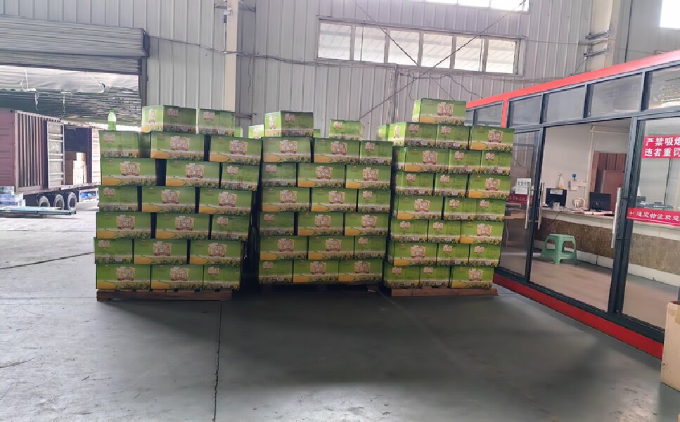 佛山到賀蘭貨運公司